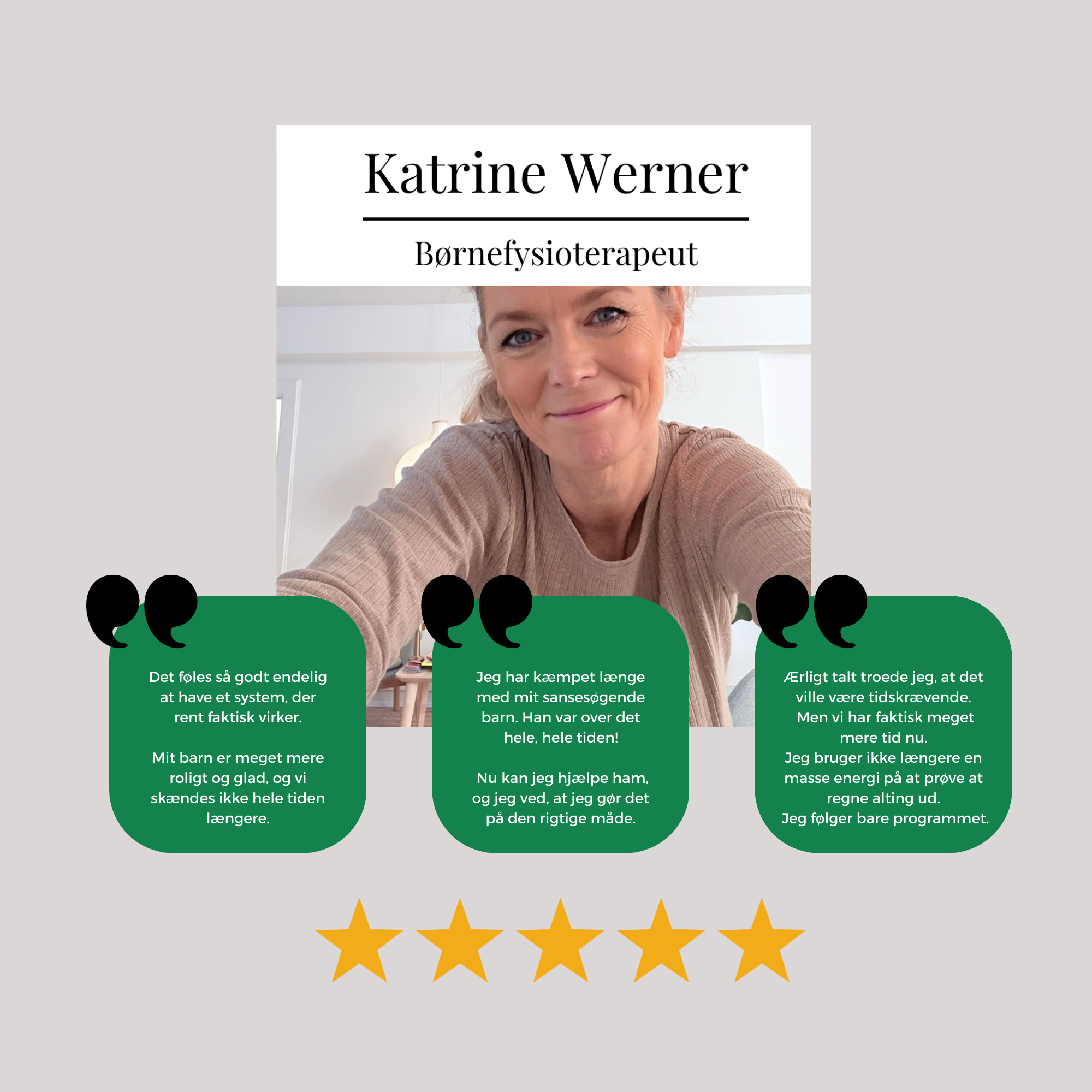 Strategier for sansesøgende børn - DOWNLOAD