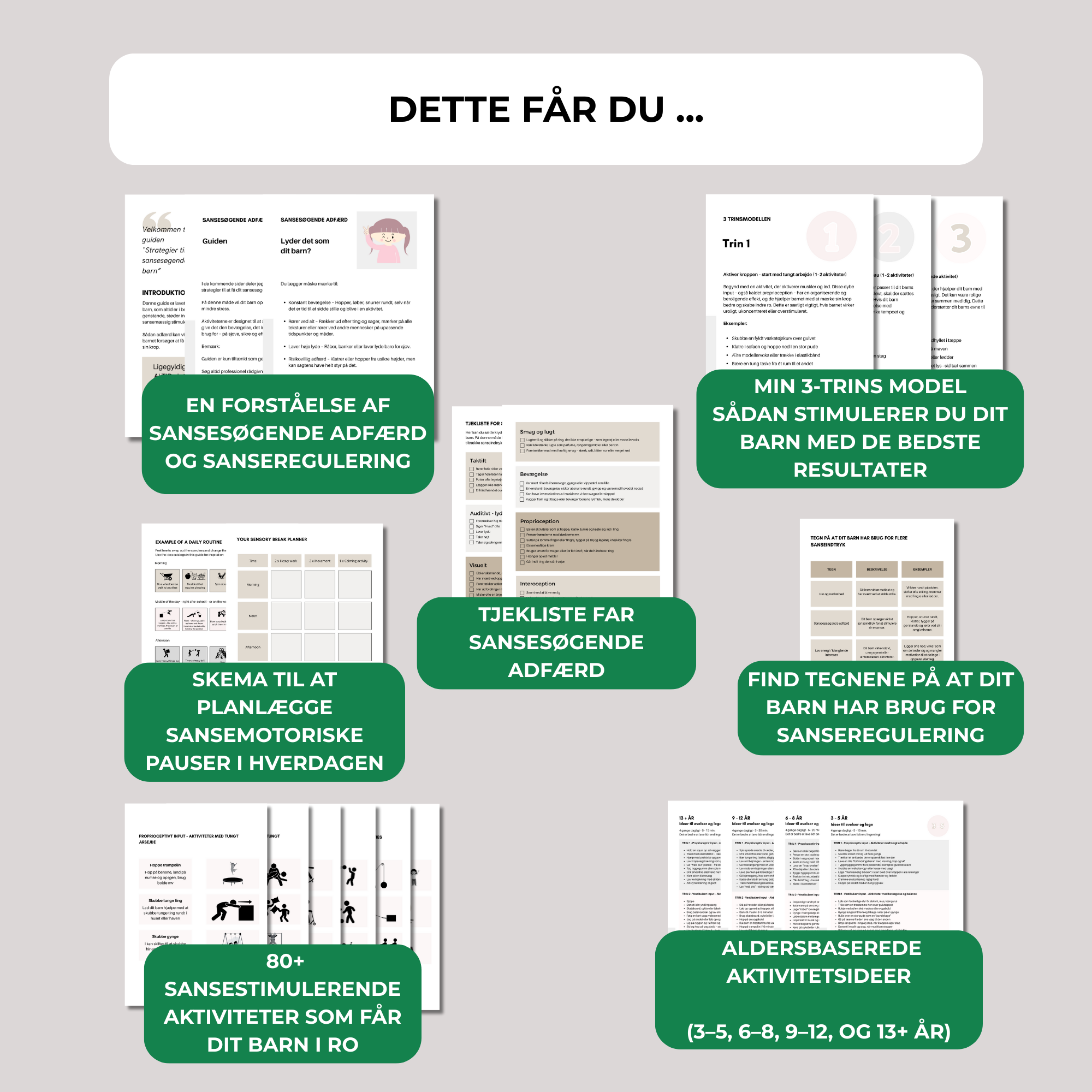 Strategier for sansesøgende børn - DOWNLOAD