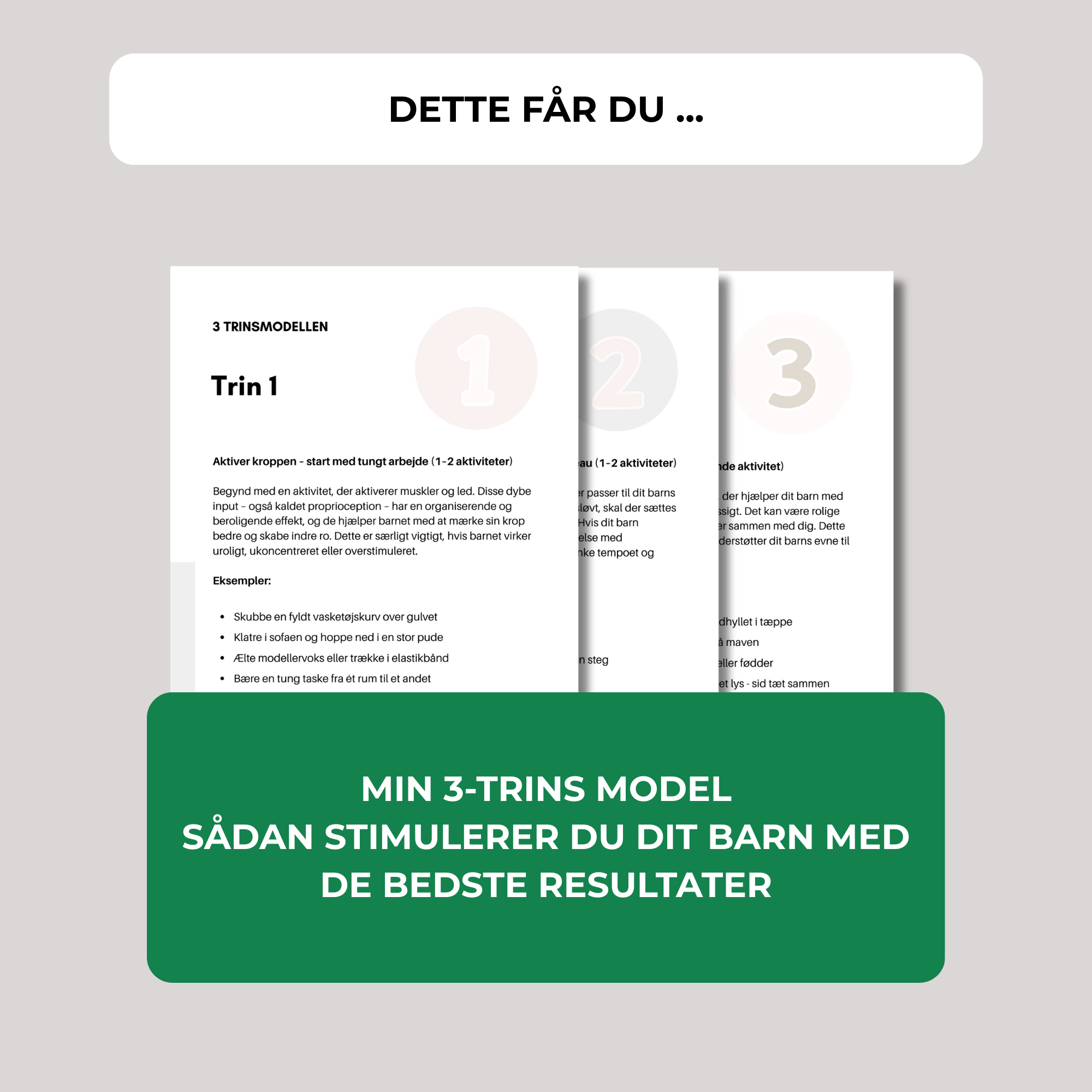 Strategier for sansesøgende børn - DOWNLOAD