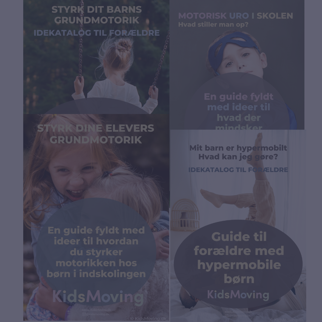 Guides (download)