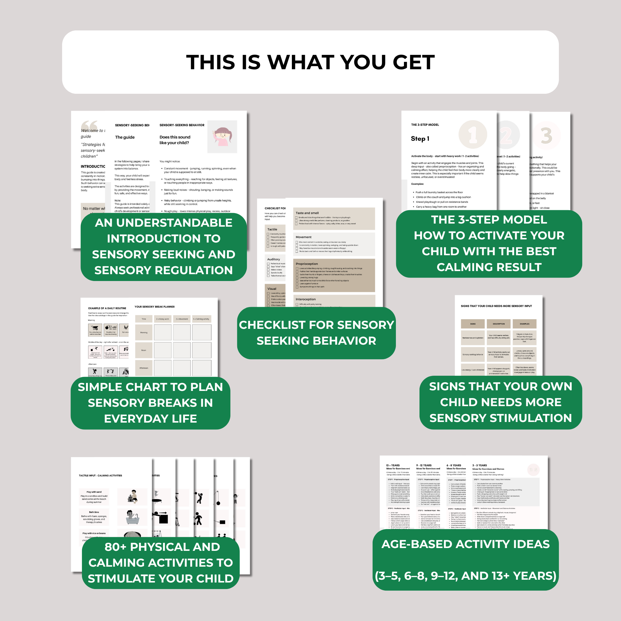 STRATEGIES FOR  SENSORY-SEEKING CHILDREN (download)