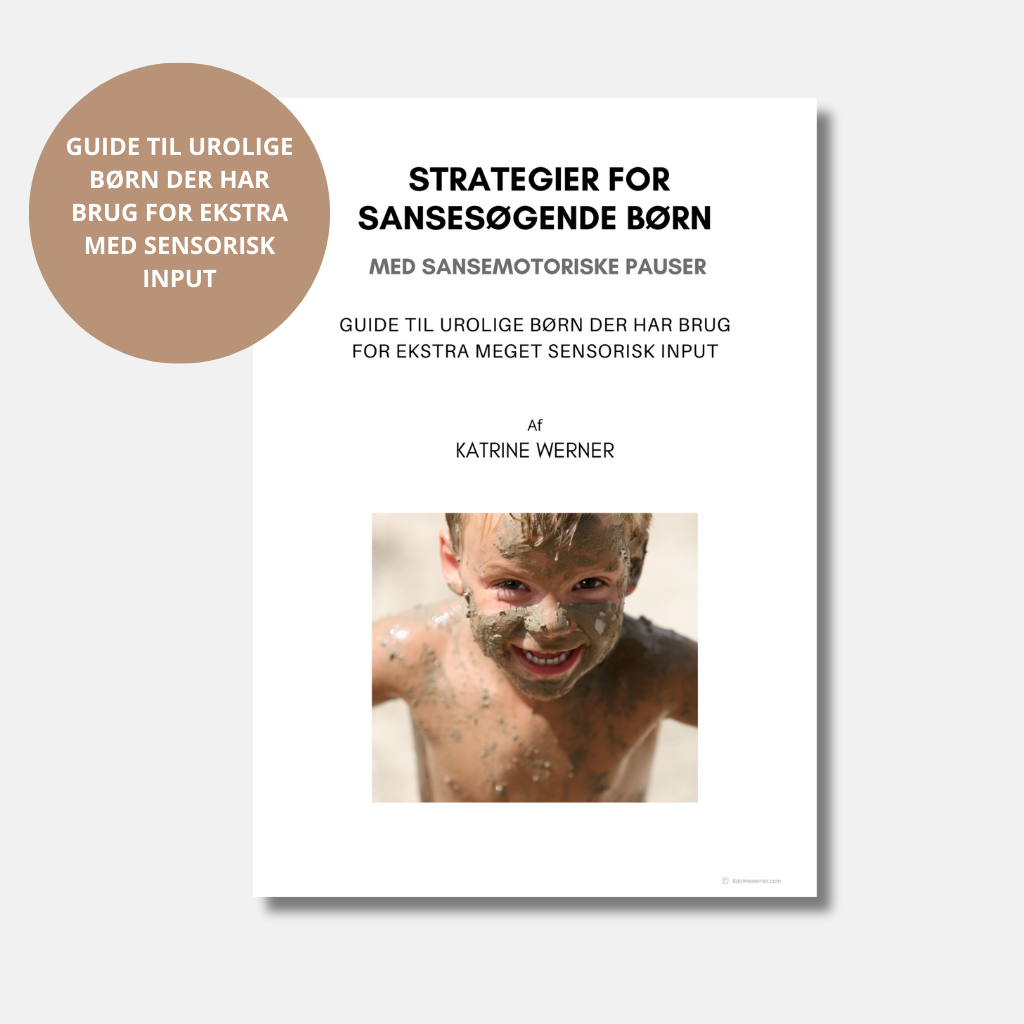 Strategier for sansesøgende børn - DOWNLOAD